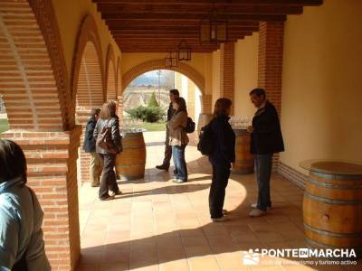 Degustación de vino - Viaje enológica a Ribera del Duero; mochilas para trekking; circo gredos